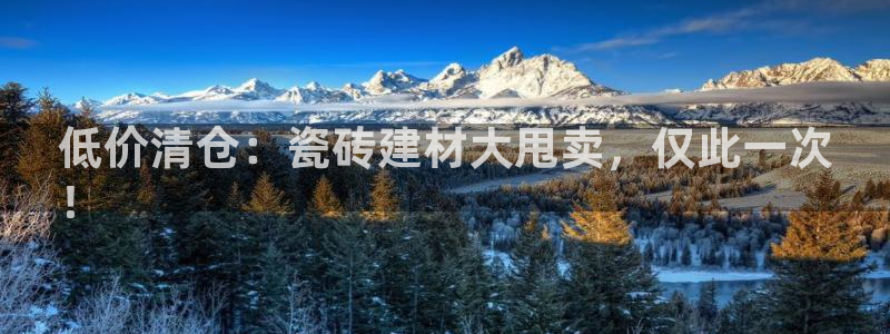杏鑫平台平台