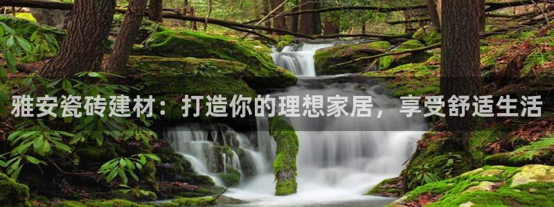 杏鑫娱乐平台