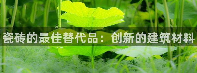 杏鑫平台代理怎么样可靠吗