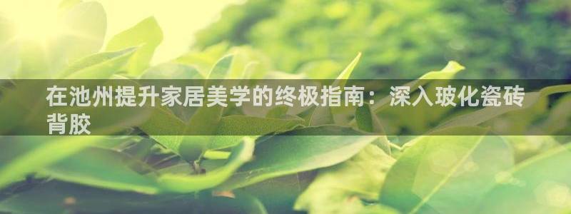杏鑫平台待遇