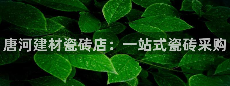 杏鑫平台怎么样