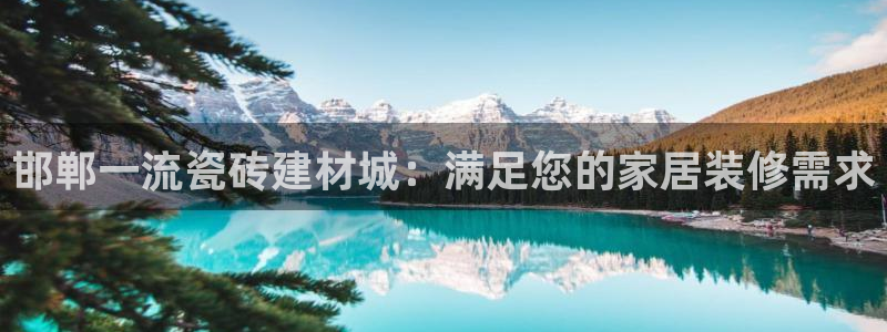 杏鑫娱乐开发团队