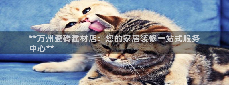 杏鑫平台代理注册登录不了怎么办呀苹果