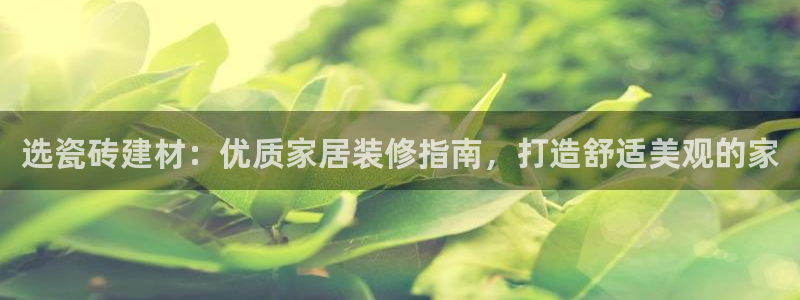 杏鑫官网最新信息