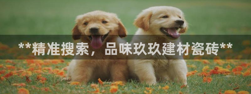 杏鑫平台代理注册多少钱一个