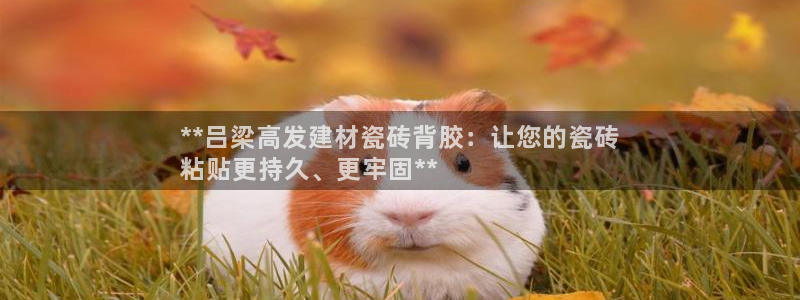杏鑫平台怎么样黑钱吗是真的吗