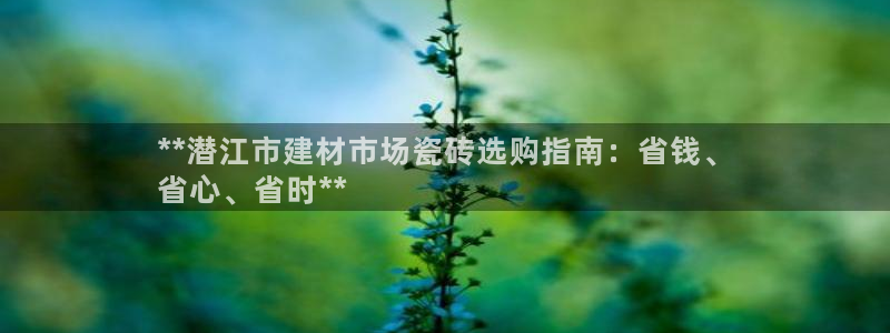 杏鑫平台代理注册流程图