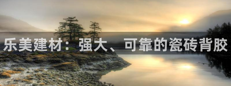 杏鑫主管