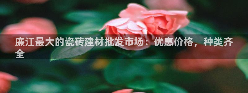 杏鑫注册登录平台是什么