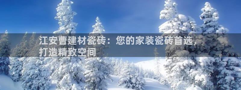 杏鑫官方平台怎么样啊