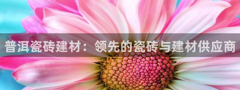 杏鑫注册平台官方网站入口