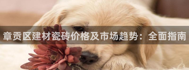 杏鑫平台招商怎么样可靠吗