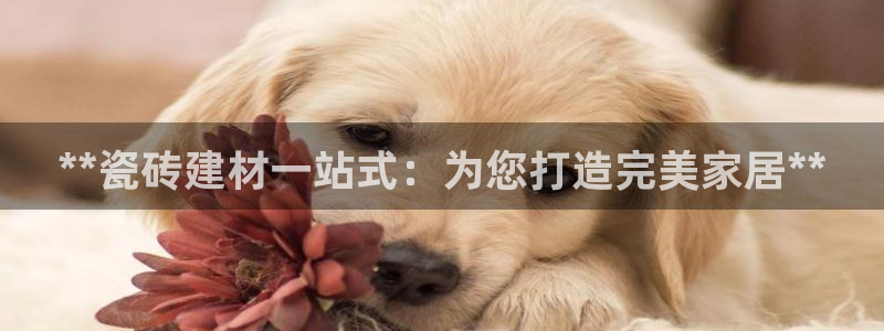 杏鑫注册地址
