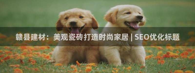 杏鑫登录注册测速