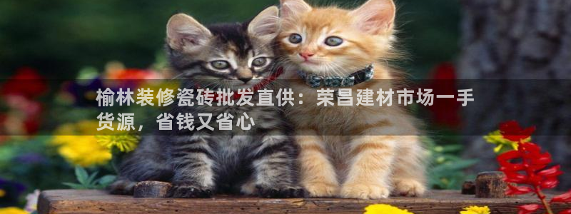 杏鑫娱乐是合法的吗是真的吗