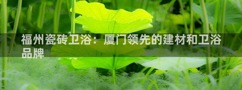 杏鑫平台代理
