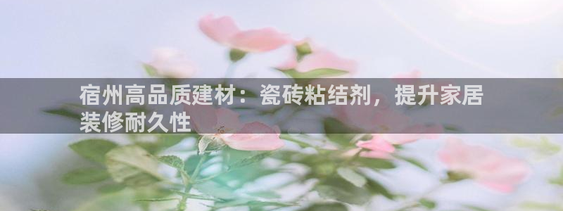 杏鑫平台代理怎么做赚钱