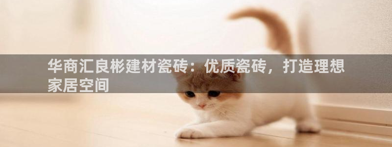 杏鑫招商总代