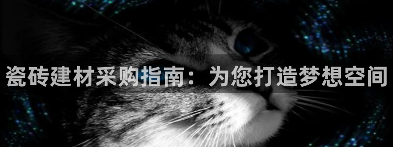 杏鑫官网最新信息