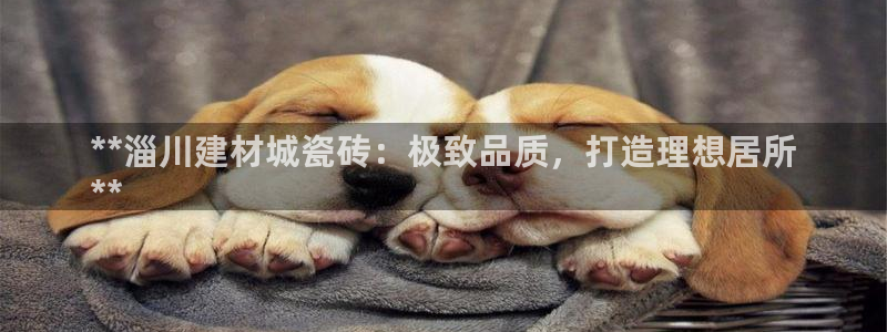 杏鑫平台登陆