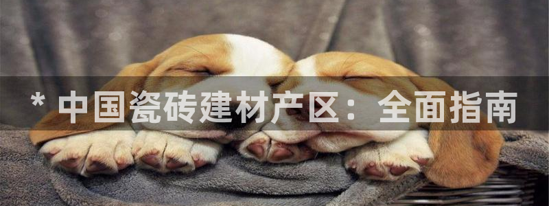 杏鑫娱乐平台测速怎么样