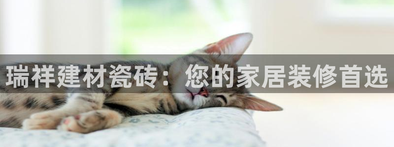 杏鑫官网最新信息