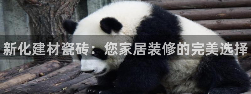 杏鑫平台招商电话是多少