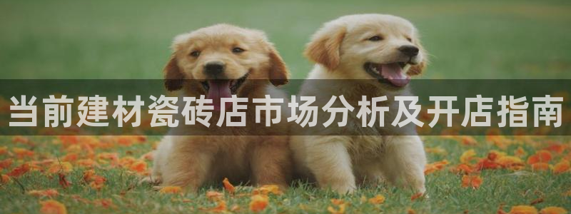 杏鑫平台测速怎么样