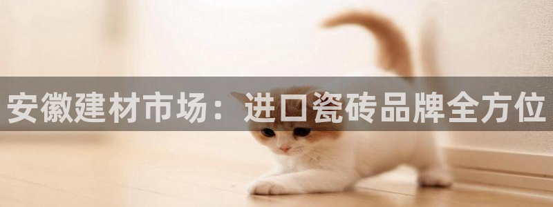 杏鑫官方平台怎么样