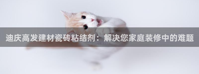 杏鑫娱乐负责人