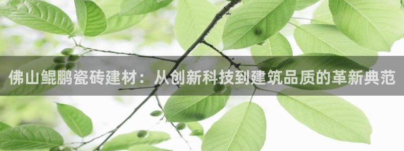 杏鑫平台是黑平台吗知乎