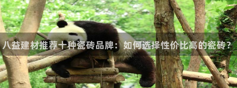 杏鑫平台登录地址查询