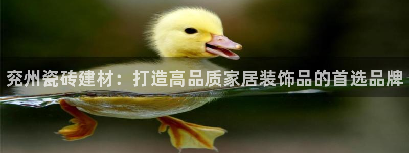 杏鑫平台怎么样黑钱吗知乎推荐