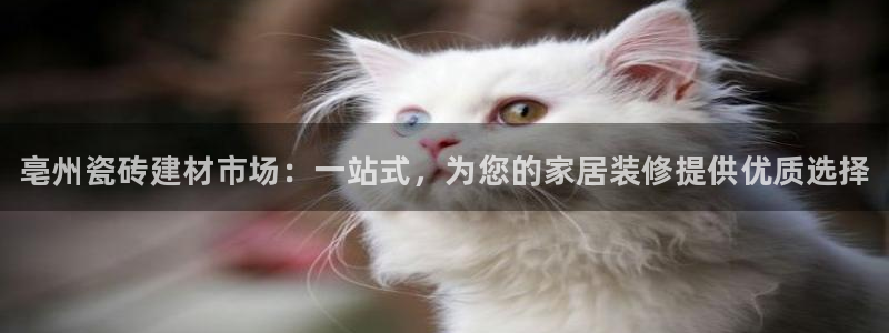 杏鑫平台注册入口在哪