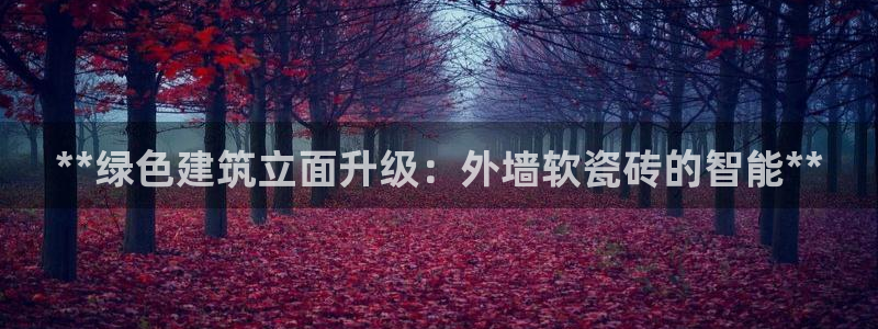 杏鑫平台代理注册流程及费用