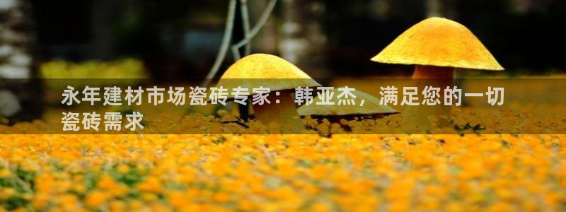 杏鑫平台注册网址是多少