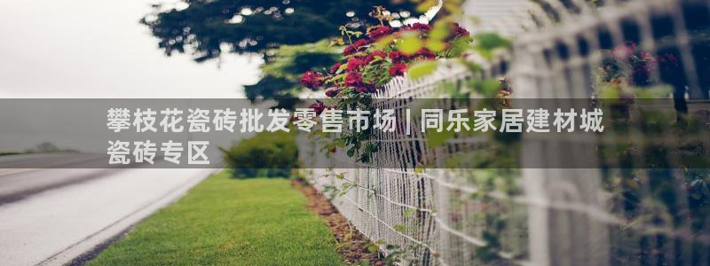 杏鑫官网注册账号密码是多少