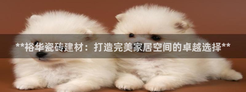 杏鑫平台注册地址是哪里