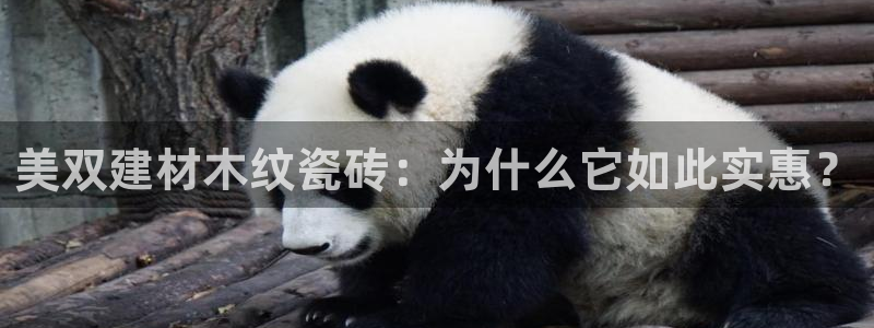 杏鑫官网注册账号怎么注册