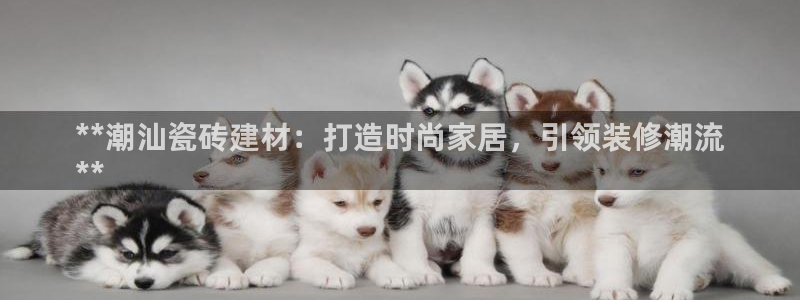 杏鑫注册平台官方网站入口