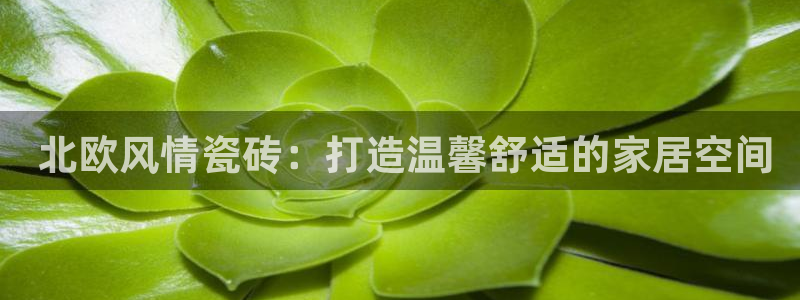 杏鑫娱乐平台登录