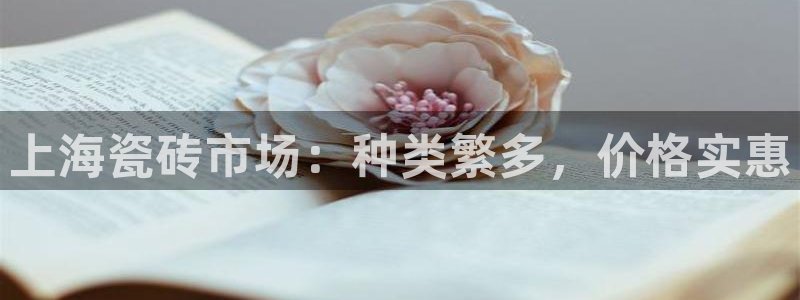 杏鑫平台代理注册多少钱一个