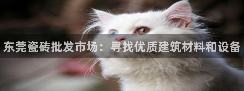 杏鑫平台登录注册