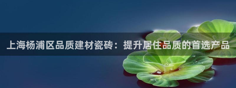 杏鑫平台登录地址