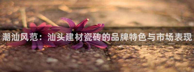 杏鑫官网注册账号怎么注册