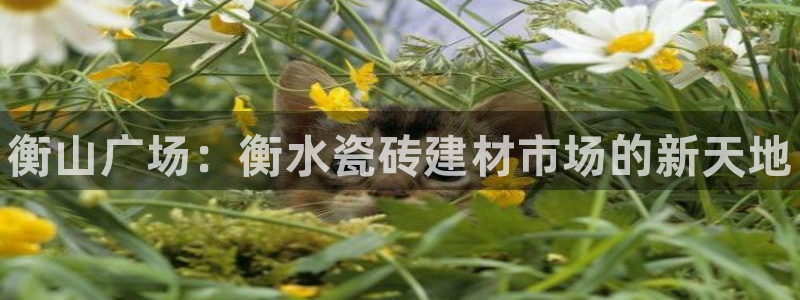 杏鑫娱乐官网登录