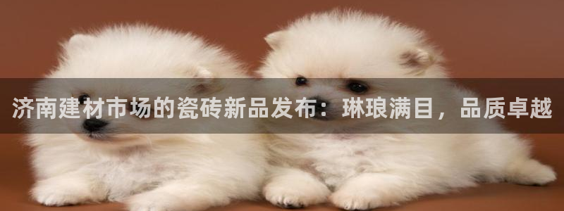 杏鑫娱乐官网登录不了