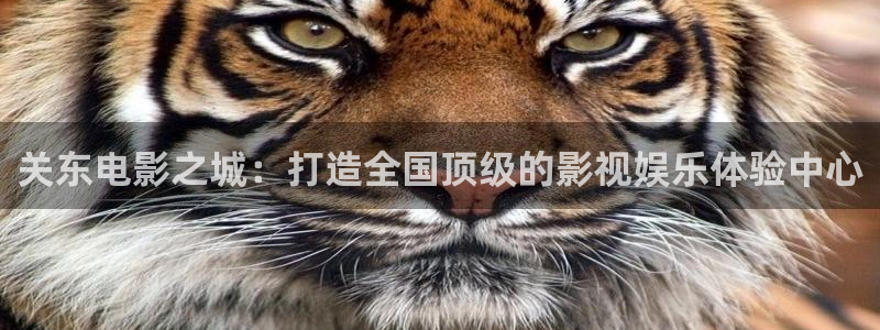 色婷婷成人影院