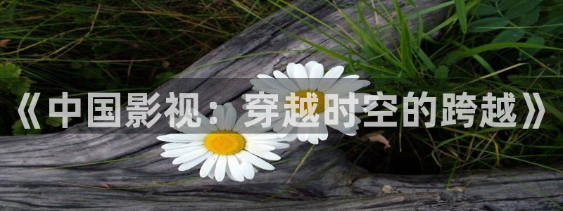 亚洲精品色婷婷在线影院